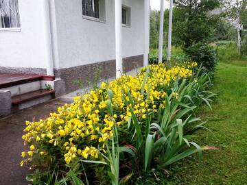 Фото номера Вилла с 2 спальнями Виллы Holiday Villas Valentina г. Novorudnya 11